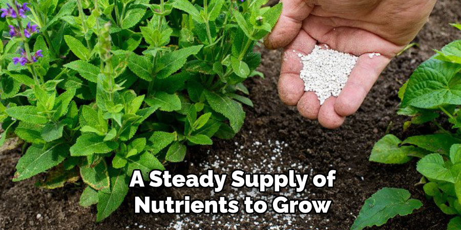 A Steady Supply of
Nutrients to Grow