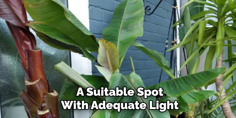 A Suitable Spot
With Adequate Light