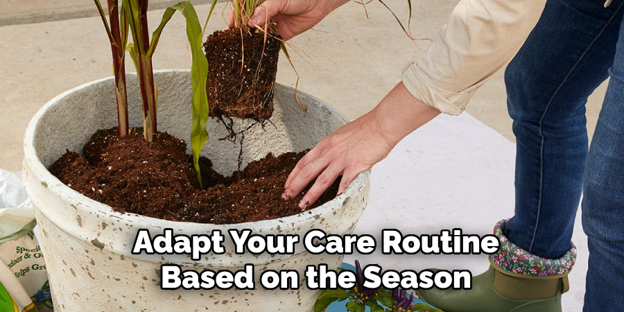 Adapt Your Care Routine
Based on the Season