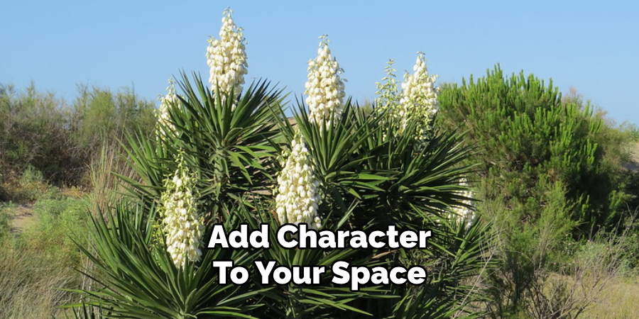 Add Character
To Your Space