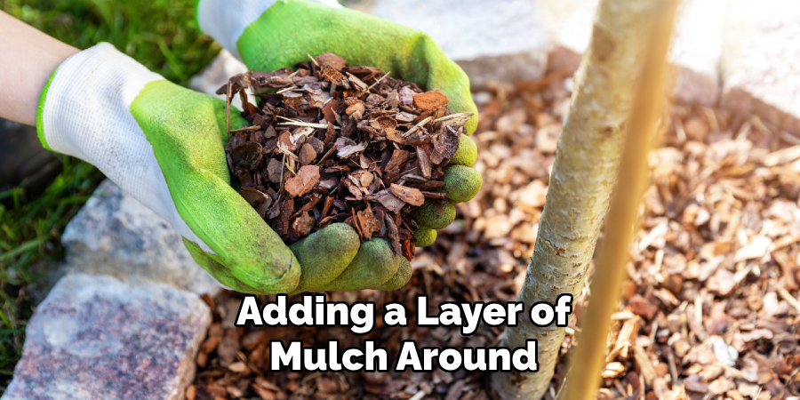 Adding a Layer of
Mulch Around