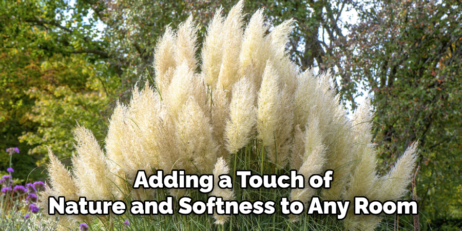 Adding a Touch of
Nature and Softness to Any Room