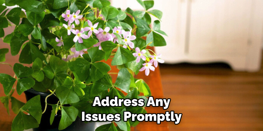 Address Any
Issues Promptly