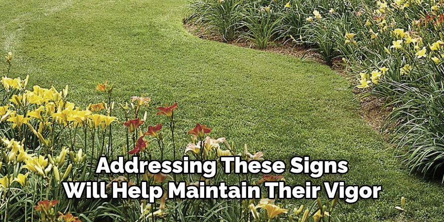 Addressing These Signs
Will Help Maintain Their Vigor