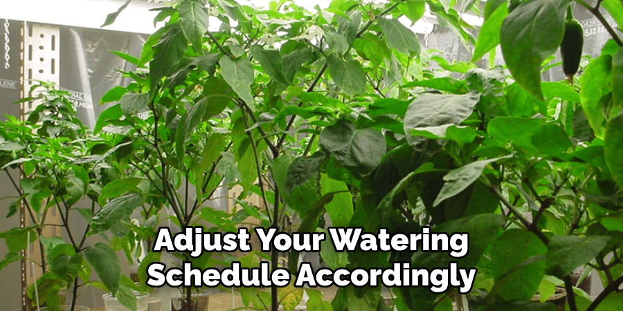 Adjust Your Watering
Schedule Accordingly