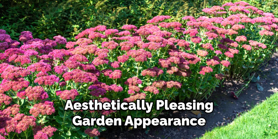 Aesthetically Pleasing
Garden Appearance
