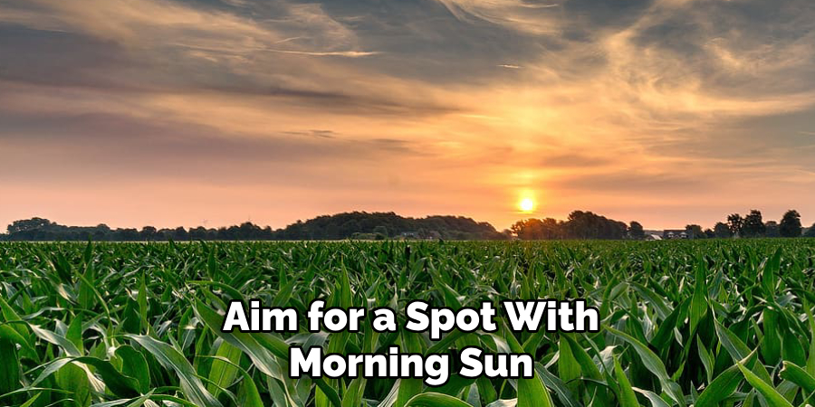 Aim for a Spot With
Morning Sun