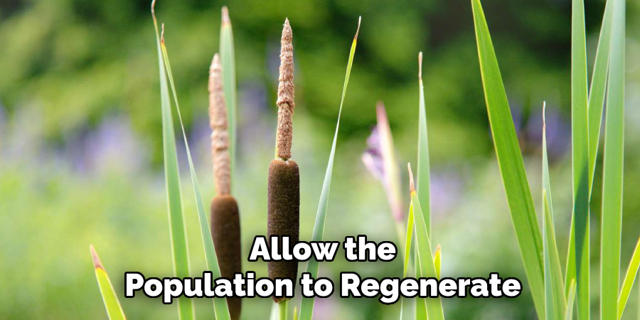 Allow the
Population to Regenerate
