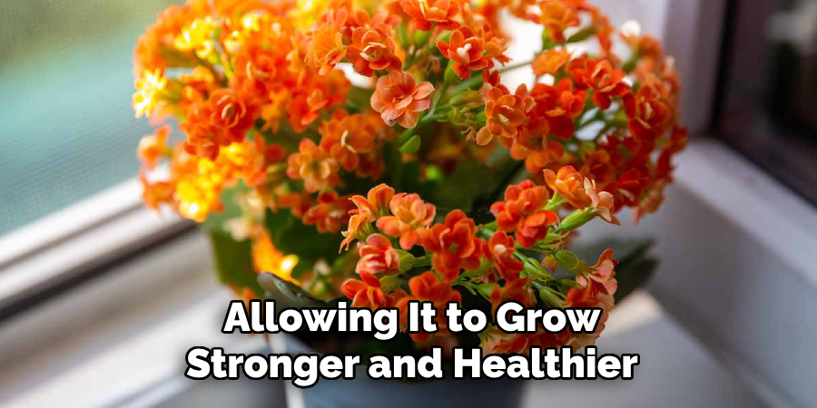 Allowing It to Grow
Stronger and Healthier