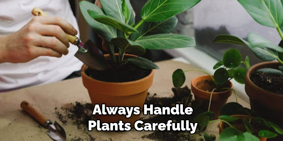Always Handle
Plants Carefully