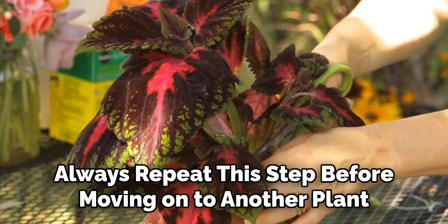 Always Repeat This Step Before
Moving on to Another Plant