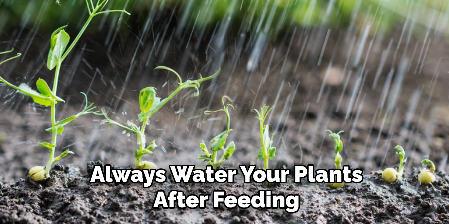 Always Water Your Plants
After Feeding