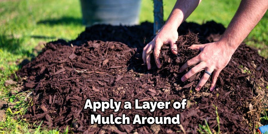 Apply a Layer of
Mulch Around