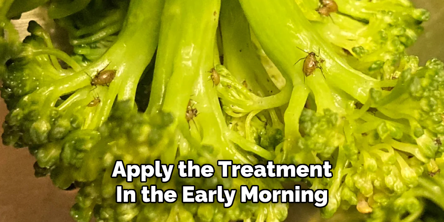 Apply the Treatment
In the Early Morning