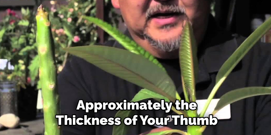 Approximately the
Thickness of Your Thumb