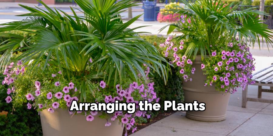 Arranging the Plants