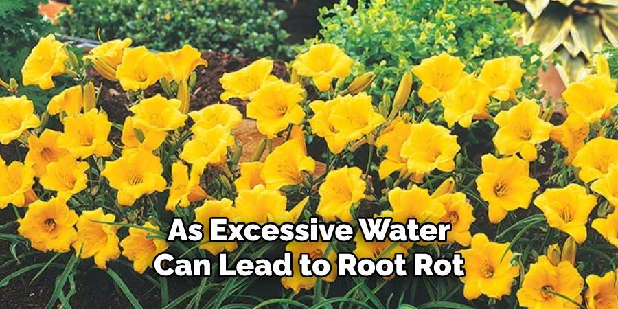 As Excessive Water
Can Lead to Root Rot