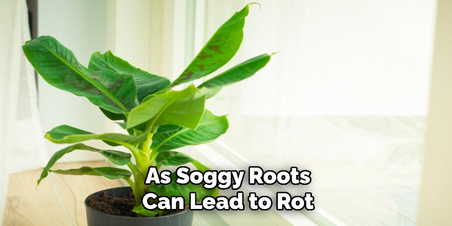 As Soggy Roots
Can Lead to Rot