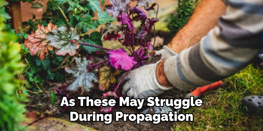 As These May Struggle
During Propagation