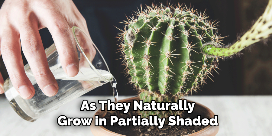 As They Naturally
Grow in Partially Shaded