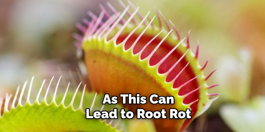 As This Can
Lead to Root Rot