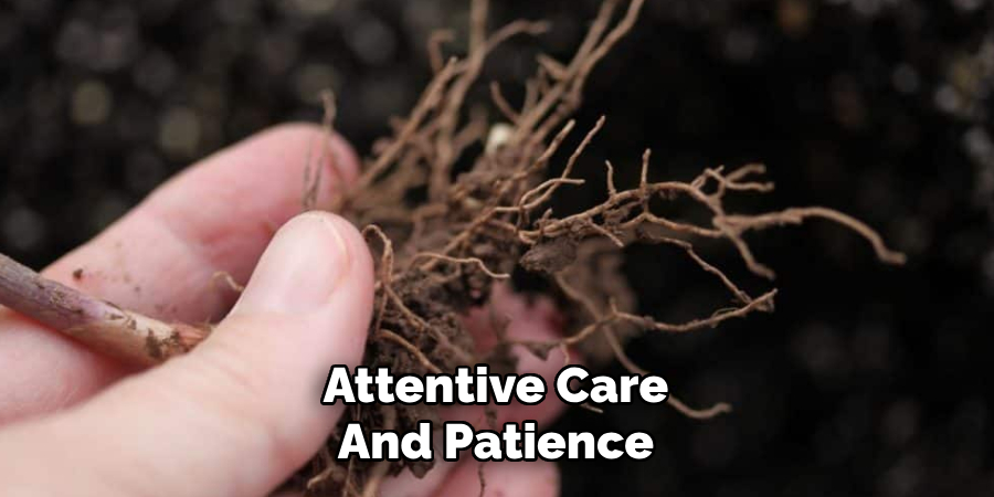 Attentive Care
And Patience