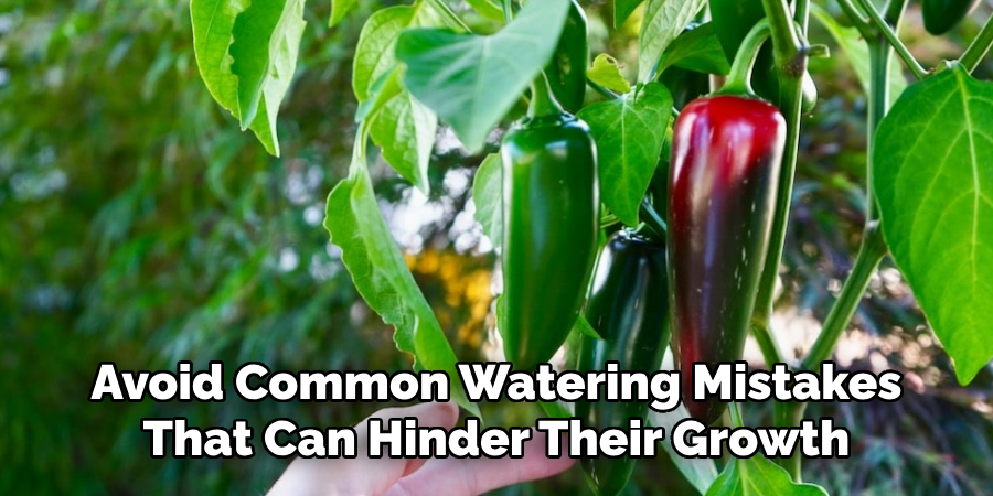 Avoid Common Watering Mistakes
That Can Hinder Their Growth