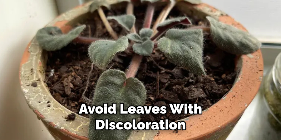 Avoid Leaves With
Discoloration