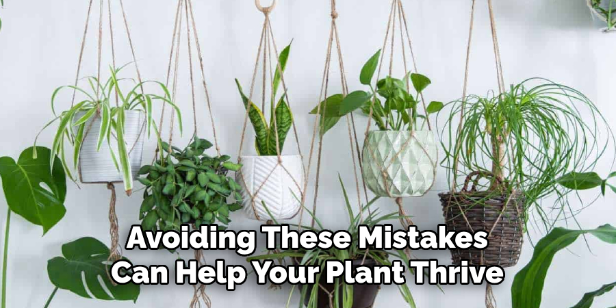 Avoiding These Mistakes
Can Help Your Plant Thrive