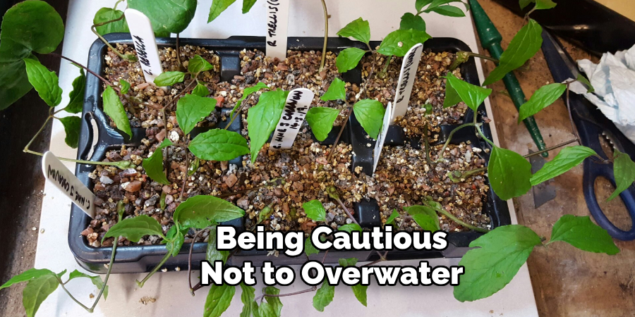 Being Cautious
Not to Overwater