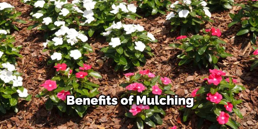 Benefits of Mulching