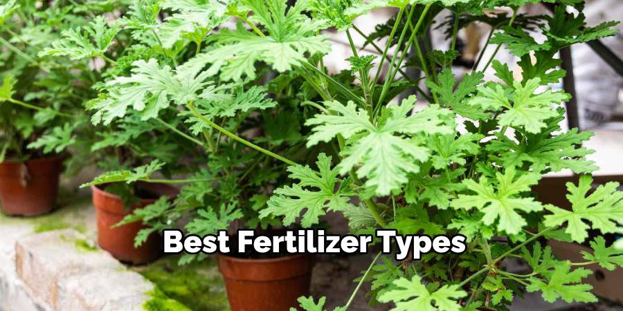 Best Fertilizer Types