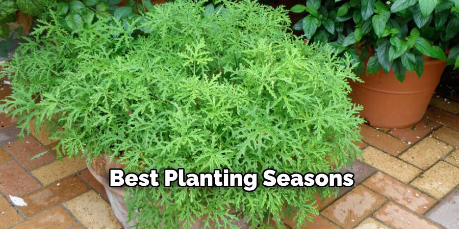 Best Planting Seasons