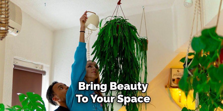 Bring Beauty
To Your Space