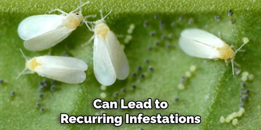 Can Lead to
Recurring Infestations