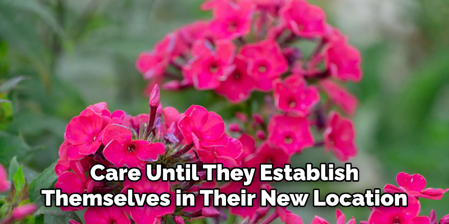 Care Until They Establish
Themselves in Their New Location