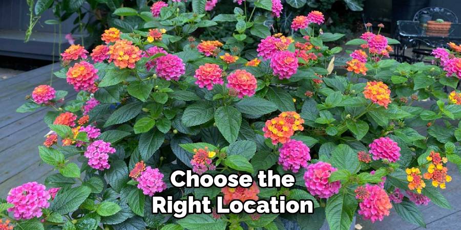 Choose the Right Location