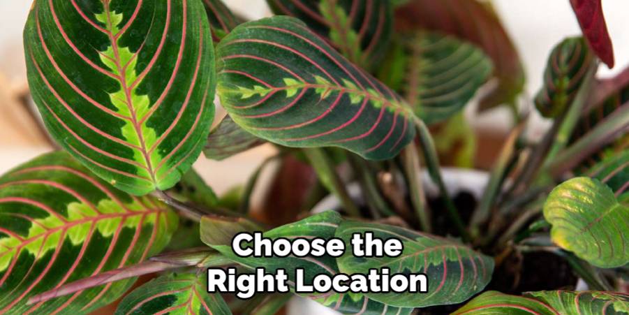 Choose the Right Location