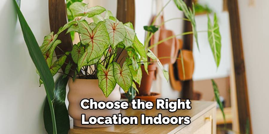 Choose the Right Location Indoors