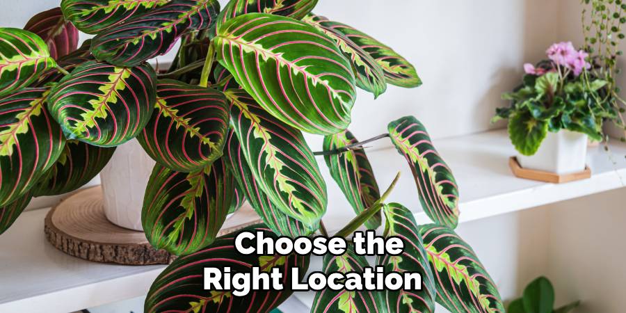 Choose the Right Location