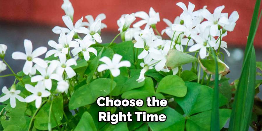 Choose the Right Time