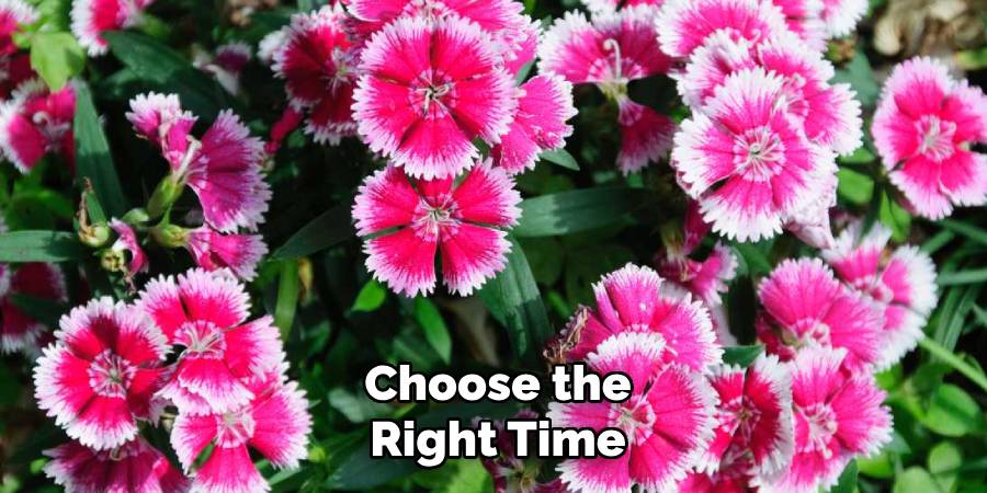 Choose the Right Time