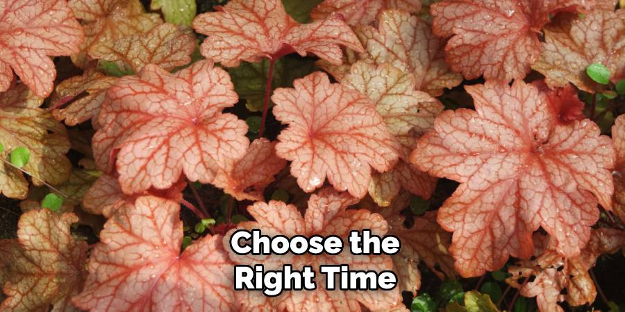 Choose the Right Time