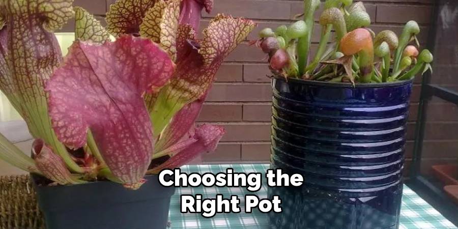 Choosing the Right Pot