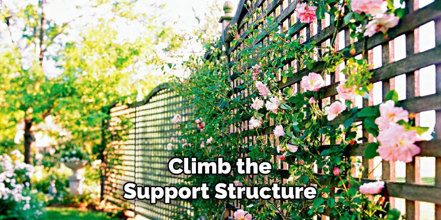 Climb the
Support Structure