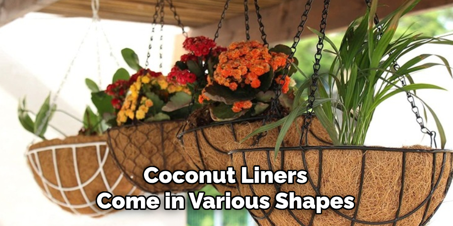 Coconut Liners Come in Various Shapes
