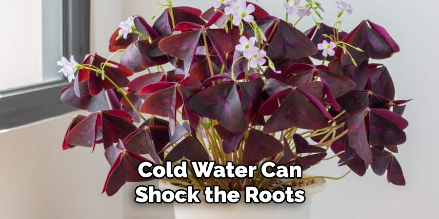 Cold Water Can
Shock the Roots