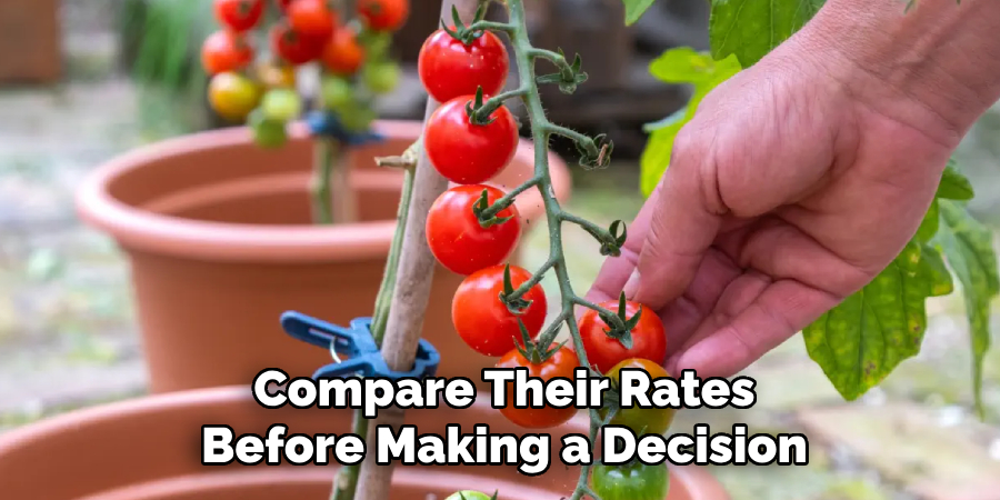 Compare Their Rates
Before Making a Decision