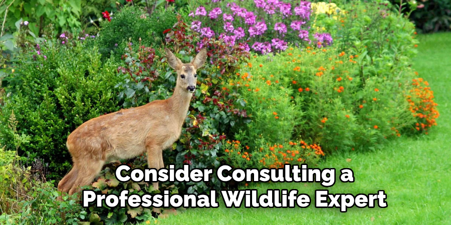 Consider Consulting a
Professional Wildlife Expert