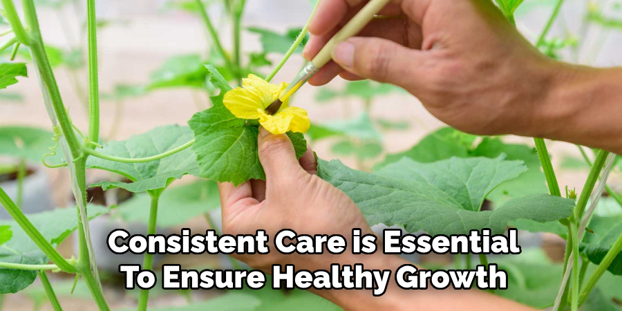 Consistent Care is Essential
To Ensure Healthy Growth